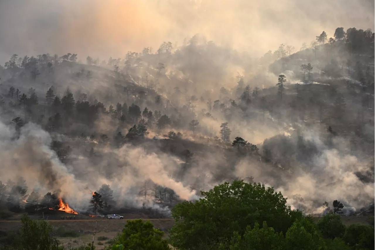 Colorado wildfires: Alexander Mountain fire 100% contained