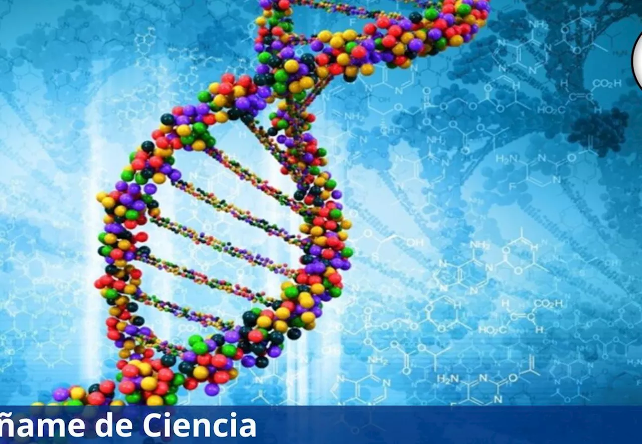 La Universidad de California ofrece un curso de evolución molecular en línea, es 100% GRATIS