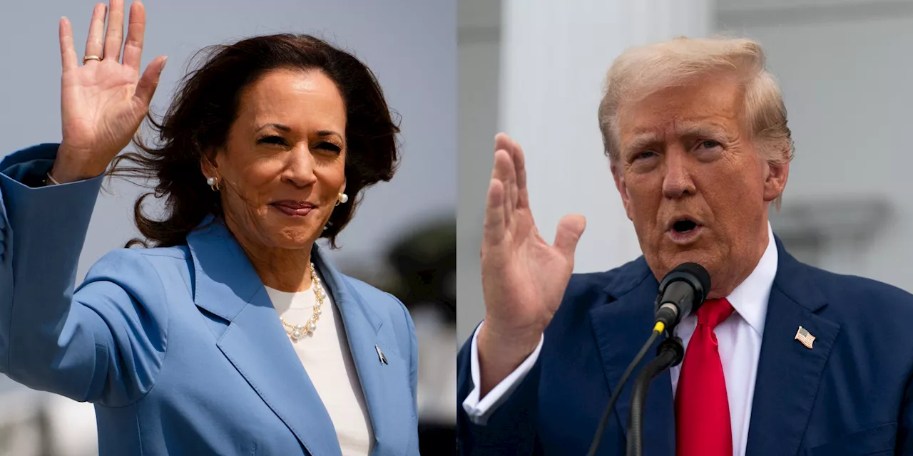 États-Unis : Donald Trump sur scène pour contrer Kamala Harris, qui enchaîne les bons sondages