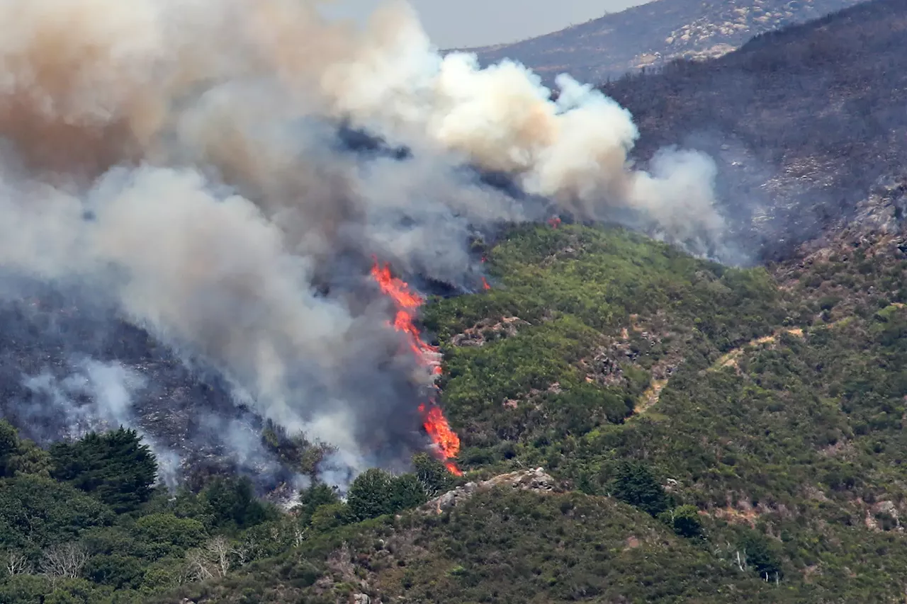 Incêndios: 80 bombeiros da Força Especial estão a caminho da Madeira