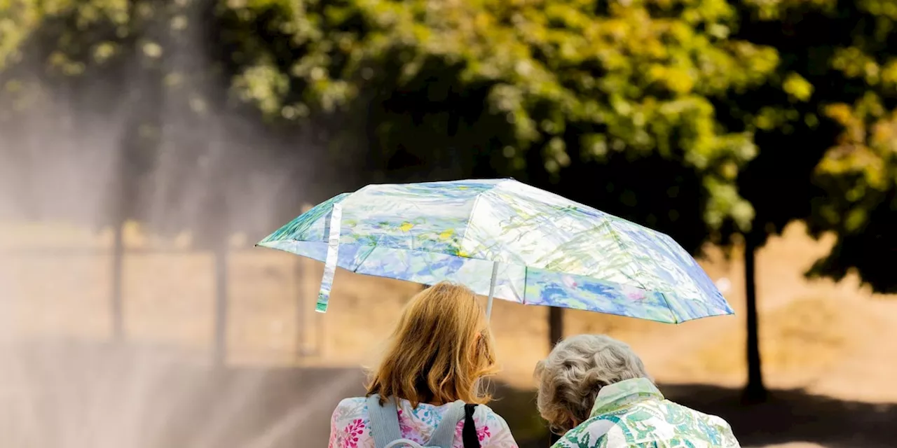 Deutschland braucht einen Hitzeschutzplan – diese Länder müssen unser Vorbild sein