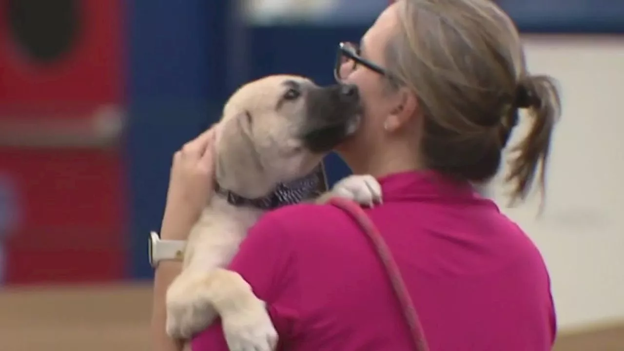 Mega pet adoption event this weekend in Houston, more than 1,000 dogs and cats available