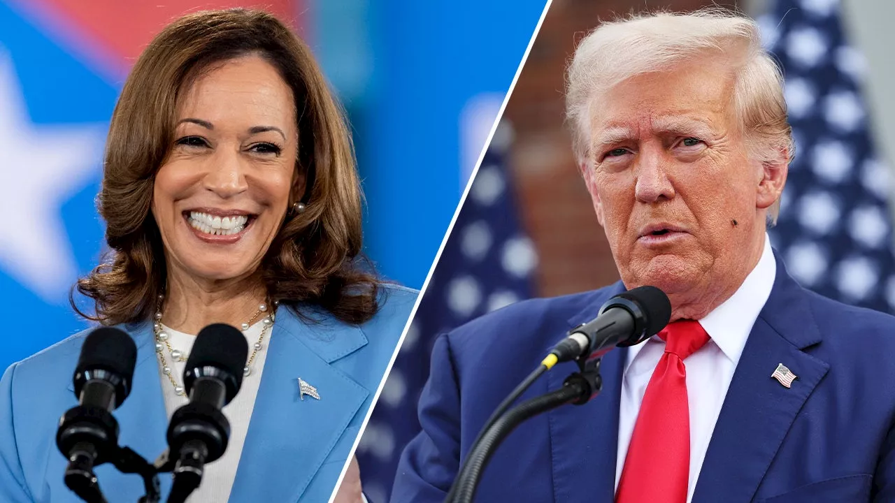 Kamala Harris on the hot seat for 'hiding' from American people and her 'Kamalanomics' plan to increase taxes