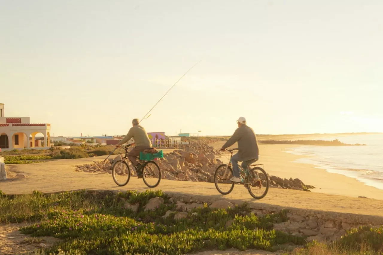 Vous êtes-vous déplacés à vélo électrique durant vos vacances ?