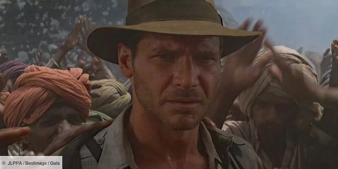 Harrison Ford : son iconique chapeau d’Indiana Jones vendu aux enchères pour une somme folle