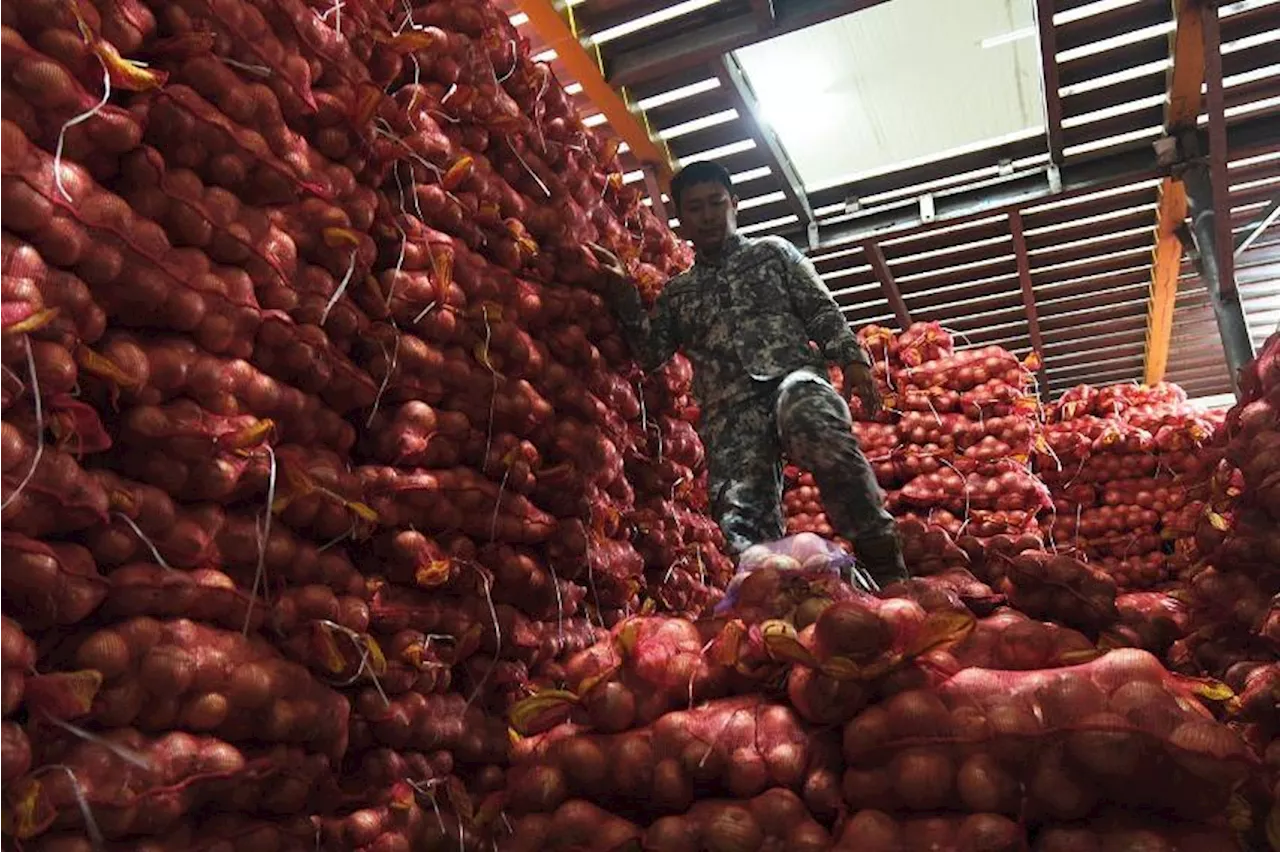 Over 300 tons of smuggled vegetables seized in Navotas raid