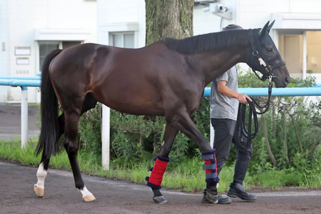 【札幌記念・生情報】武豊×ダービー馬シャフリヤール 人馬の豊富な経験値を生かして完全復活へ