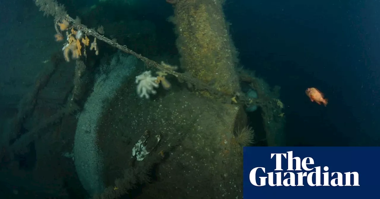 ‘Virtually intact’ wreck off Scotland believed to be Royal Navy warship torpedoed in WWI