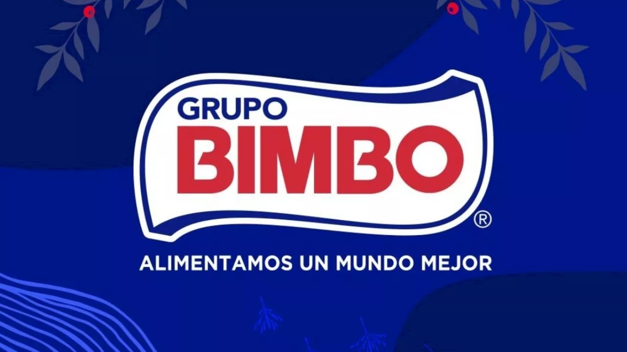 Bimbo abrió vacantes en CDMX con sueldos de hasta 35 mil pesos, así puedes aplicar