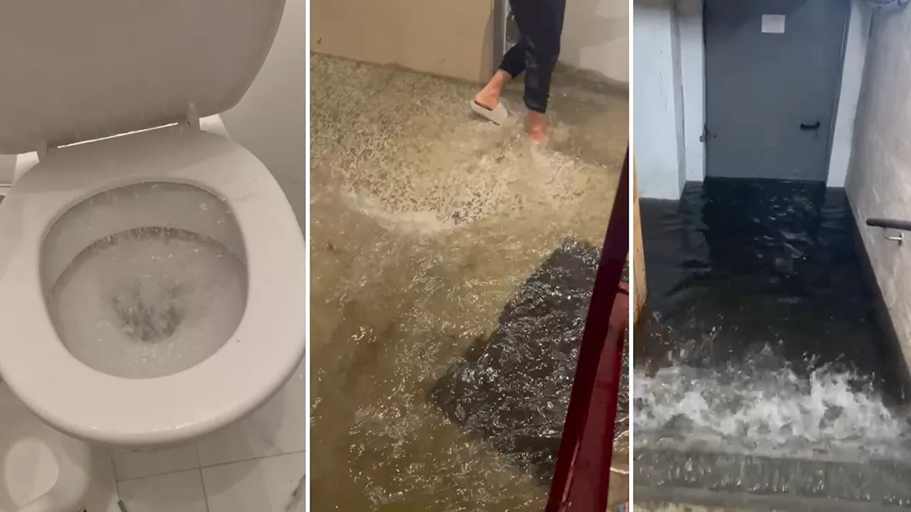  WC läuft bei Gewitter über, flutet Wiener Wohnung