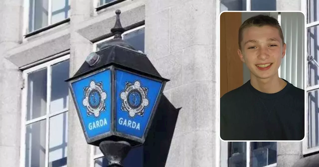 Gardai launch search appeal for missing 13-year-old Meath boy