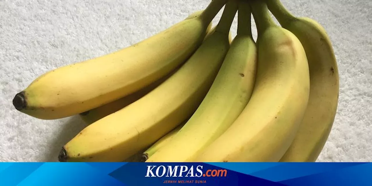 Benarkah Makan Pisang Tiap Hari Dapat Turunkan Kolesterol?