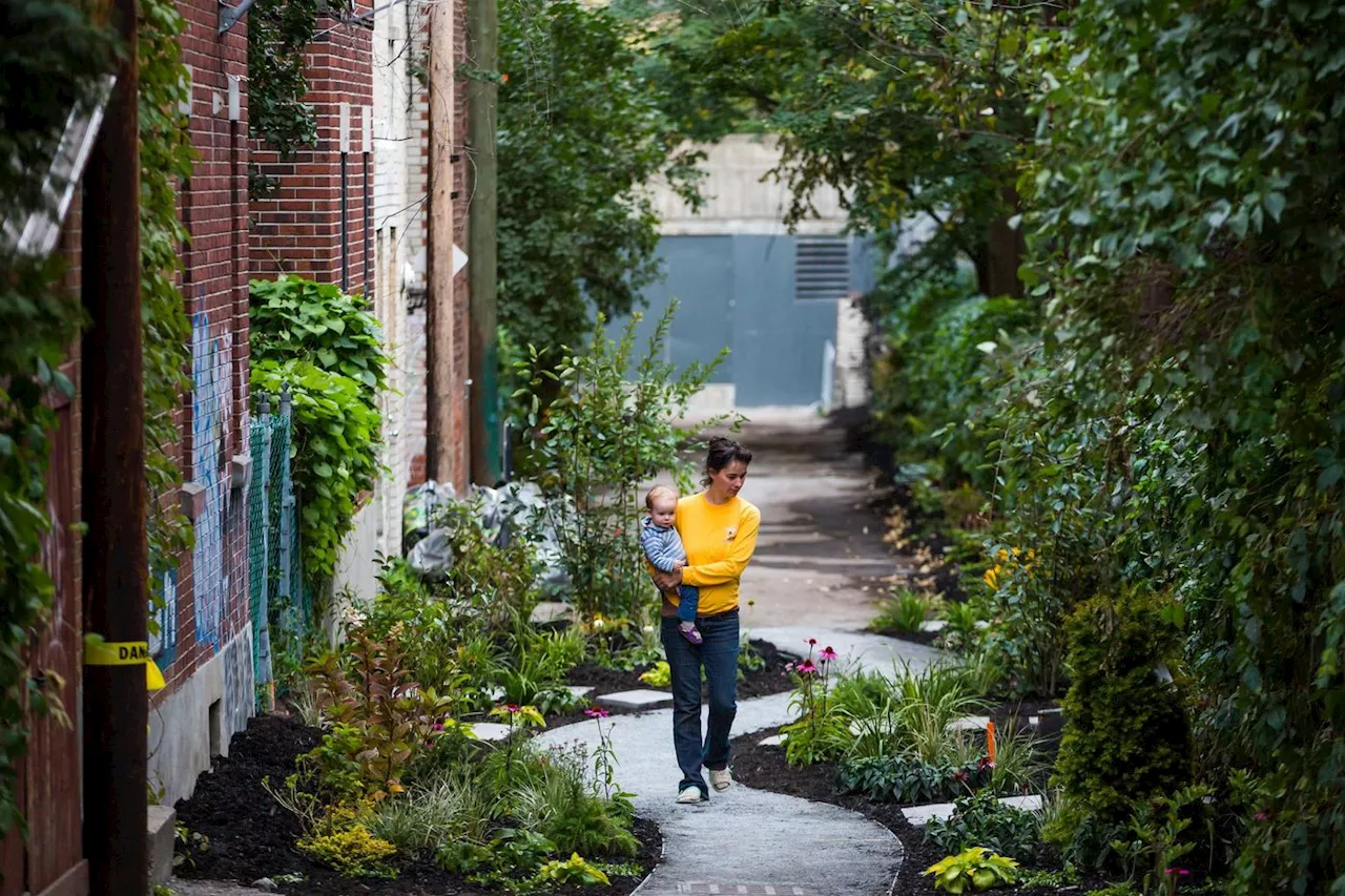 À Montréal : des ruelles vertes, îlots de solidarité et de fraîcheur