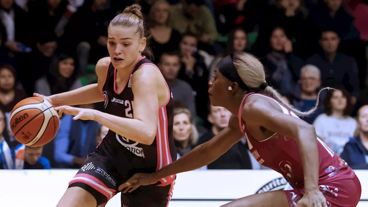 Le Toulouse Métropole Basket nouvelle cuvée a pris forme