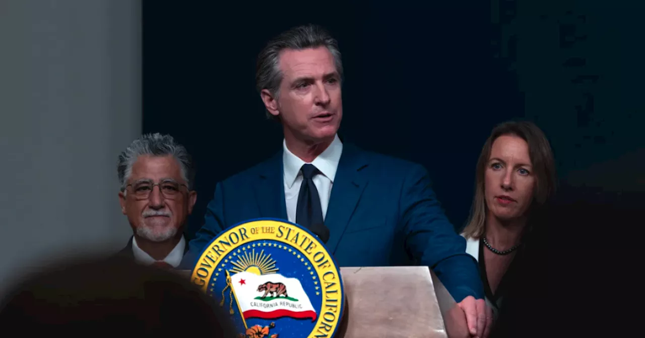 Gavin Newsom signs new retail theft laws as voters weigh even tougher penalties