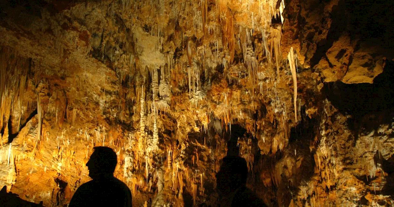 Il arrache une stalactite vieille de plusieurs milliers d'années dans une grotte de Dordogne