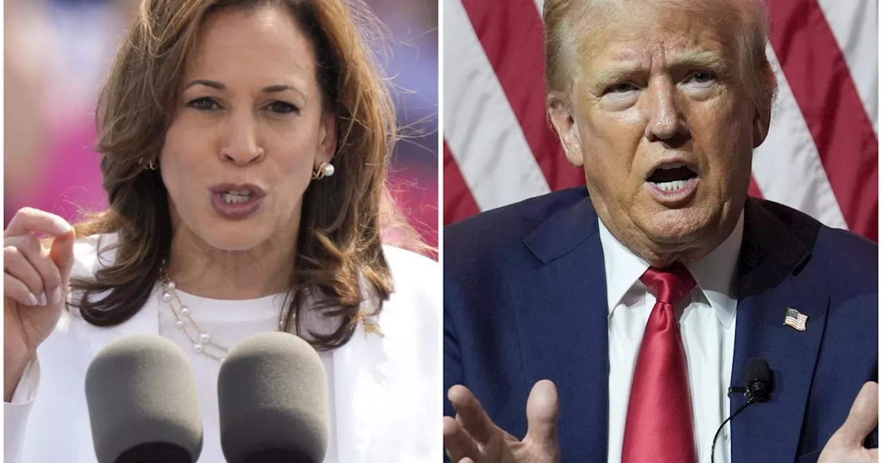 Donald Trump punta sull&#039;economia, una ricetta vincente contro Kamala Harris