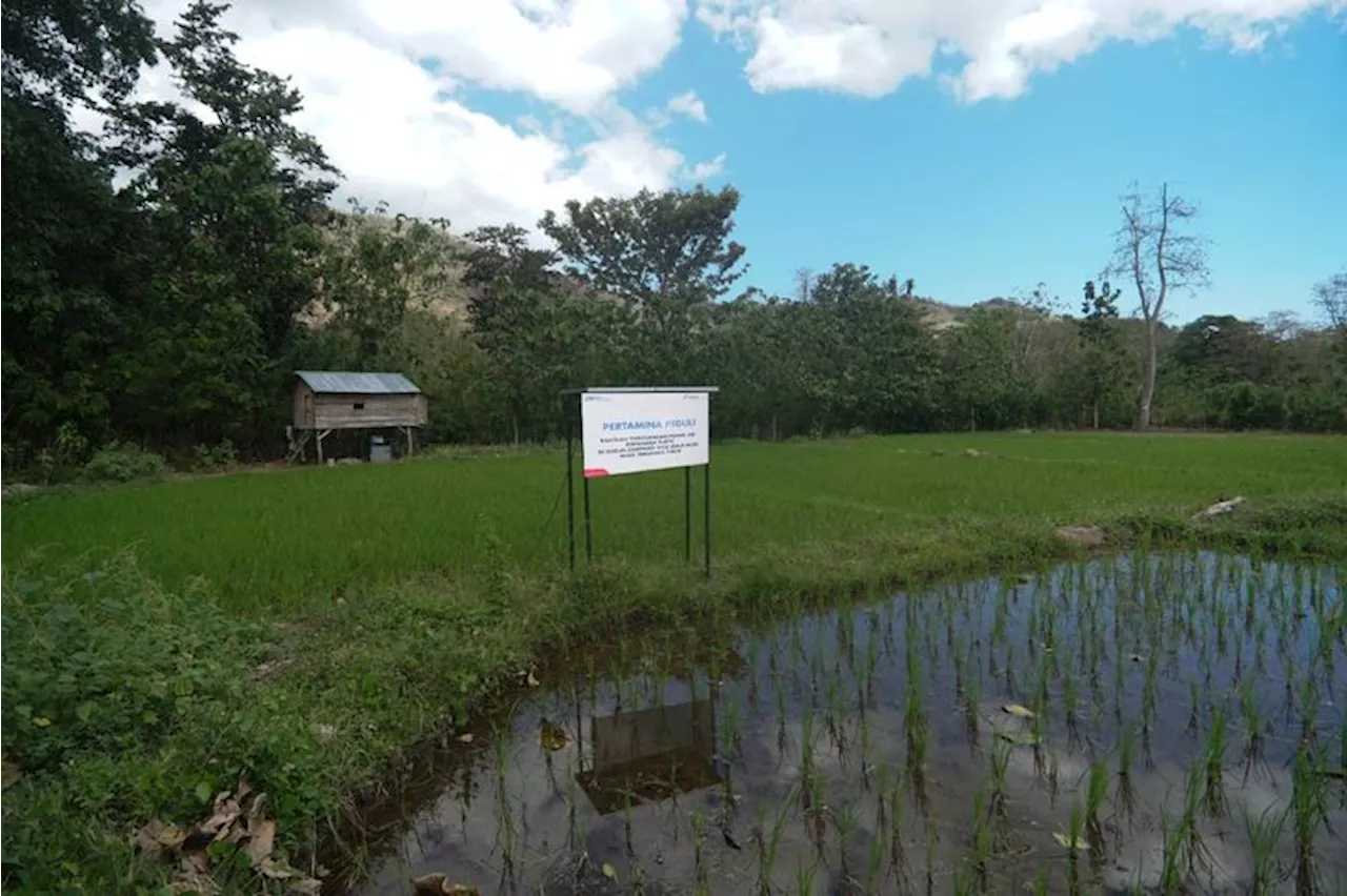 PIS Serahkan Bantuan Pompa Air Bertenaga Surya ke Petani di NTT