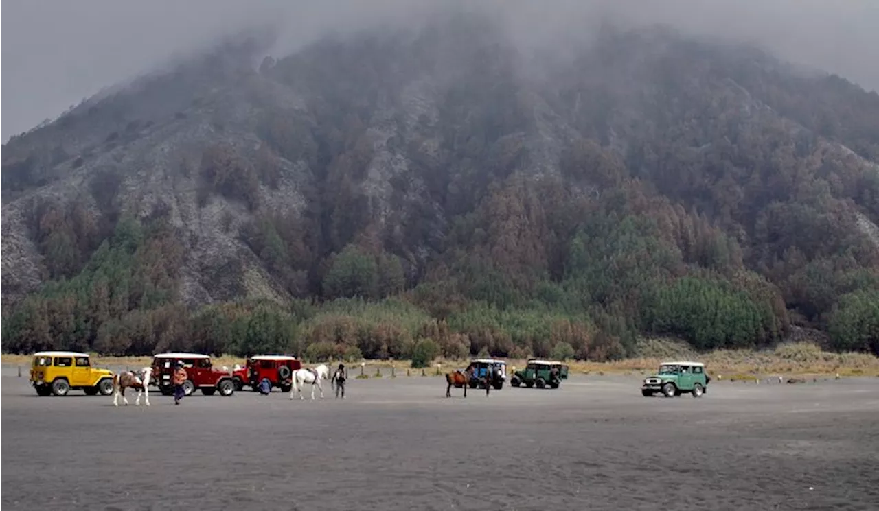 Upacara Hut Ri Tnbts Ajak Wisatawan Upacara Hut Ri Di Lautan Pasir Gunung Bromo Tnbts Head