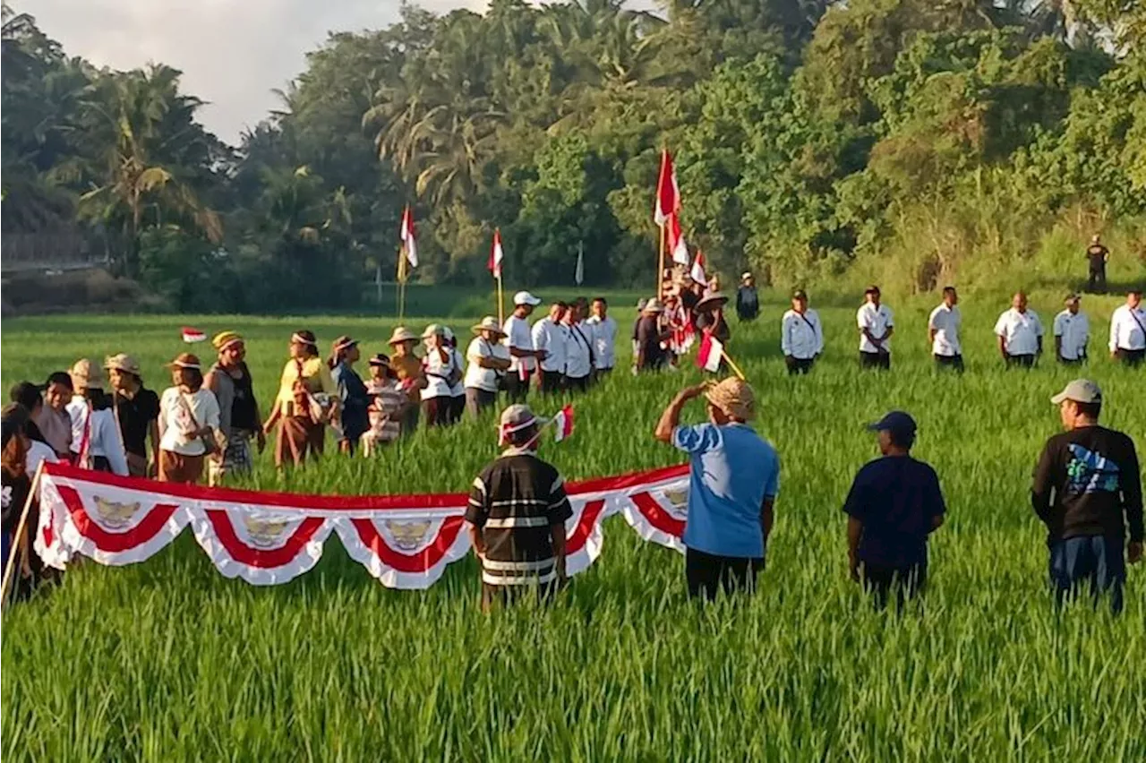 Warga Badung Bali Gelar Upacara HUT ke-79 RI di Tengah Sawah