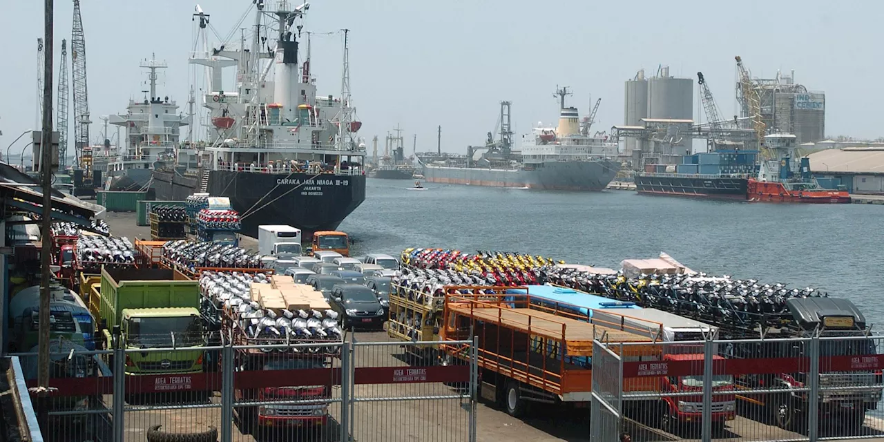 Pakar Nilai Denda Impor Beras di Pelabuhan Tanjung Priok & Tanjung Perak Tetap Dibayarkan