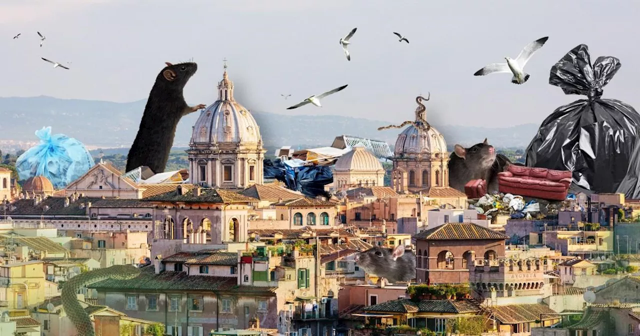 Rome is now 'jungle' of snakes and rats due to rubbish, expert says