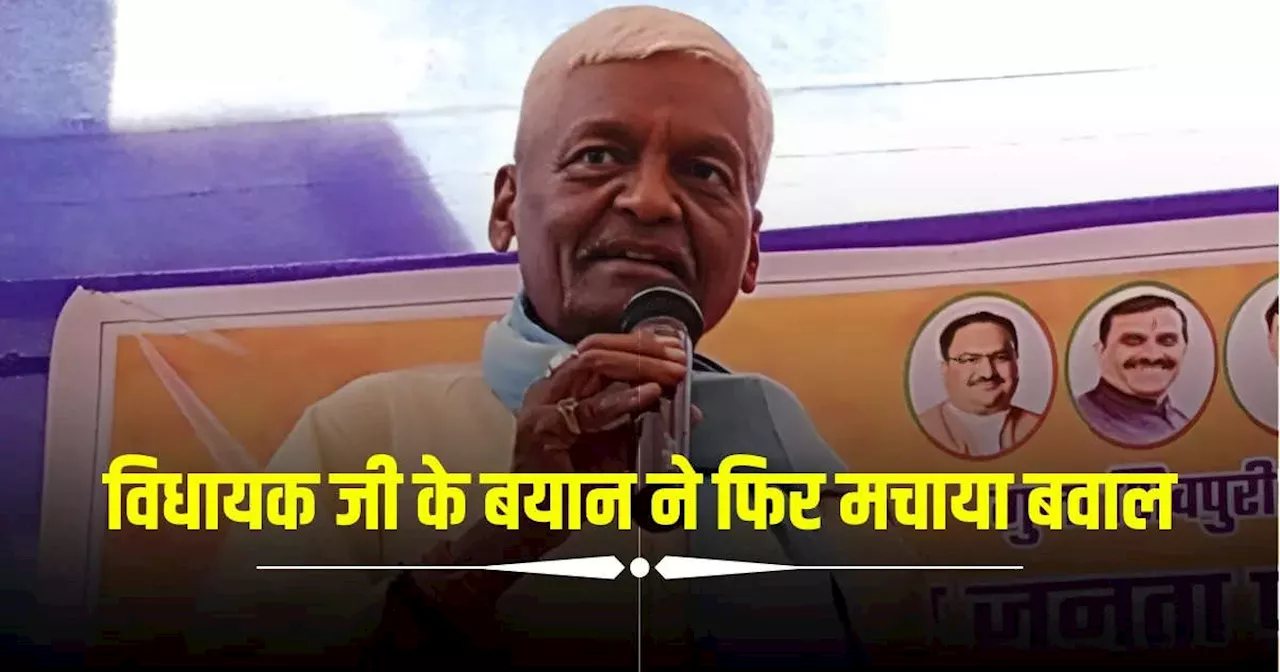 तो भारत की हो जाएगी बांग्लादेश जैसी हालत... गुना से BJP विधायक पन्ना लाल शाक्य का विवादित बयान, बोले- कुछ सांसद लुच्चे हैं