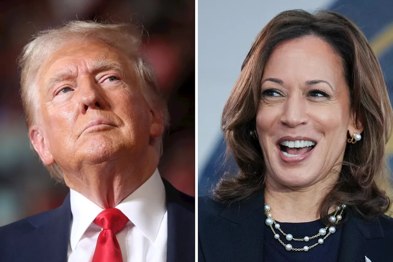 Donald Trump Mocked for Saying He's 'Better Looking' Than Kamala Harris