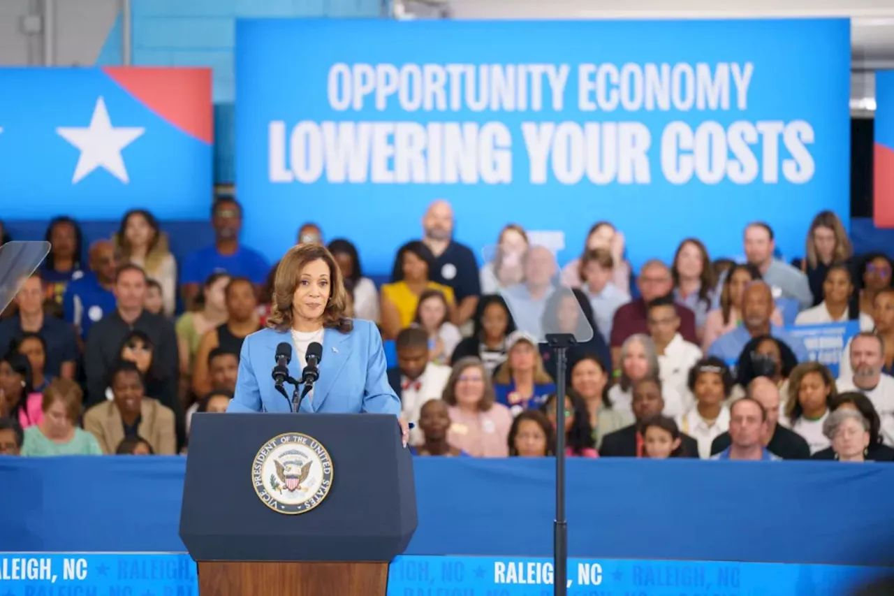 Harris' price control 'Kamanomics' plan risks scaring away Wall Street donors on the fence