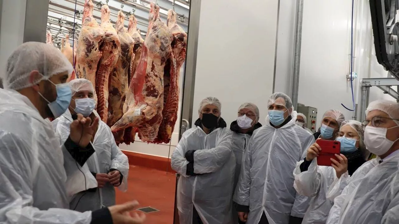 Dix tonnes de viande ont dû être jetées dans cet abattoir breton