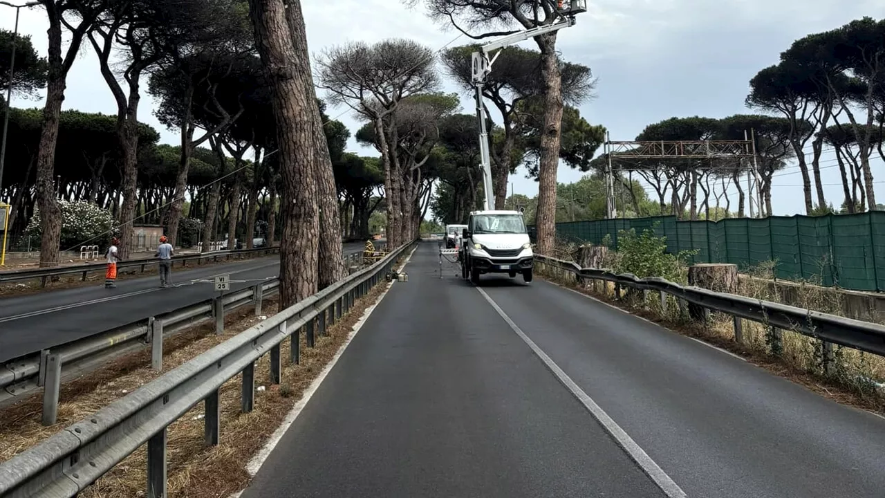 Crolla un pino a Ostia: chiuse via del Mare e via Ostiense