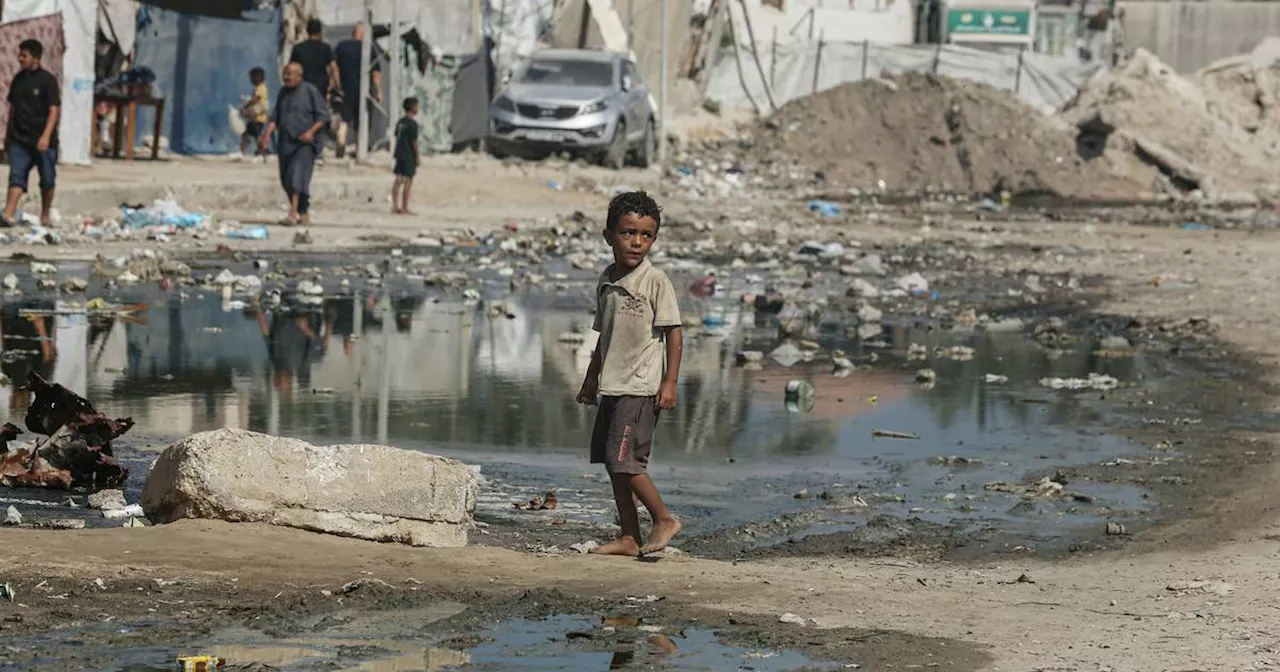 Erster Polio-Fall im Gazastreifen: Viele Hürden für Massenimpfung