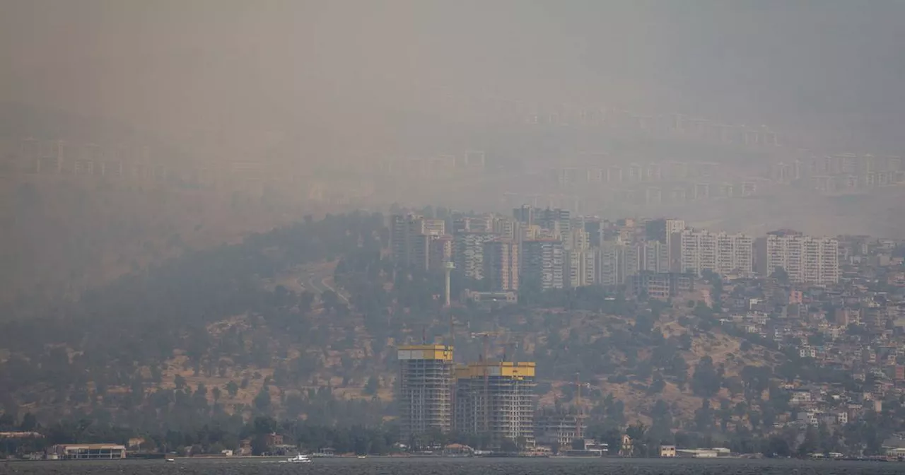 Türkei: Waldbrand erreicht Wohngebiete in Urlaubsregion Izmir