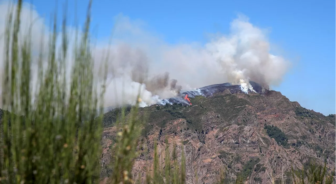 Madeira pede apoio ao Governo da República no combate aos incêndios