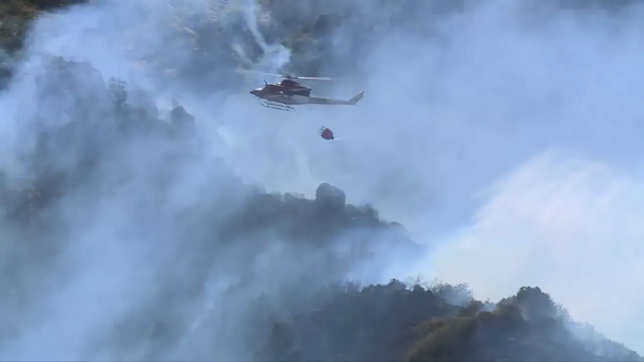 Madeira recebe 80 bombeiros da Força Especial para ajudar no combate às chamas