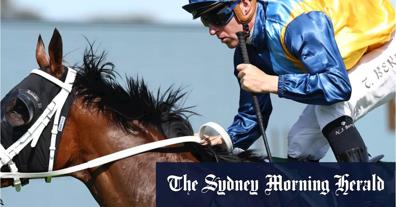 Berry on top for a good day in Newgate silks on the Central Coast