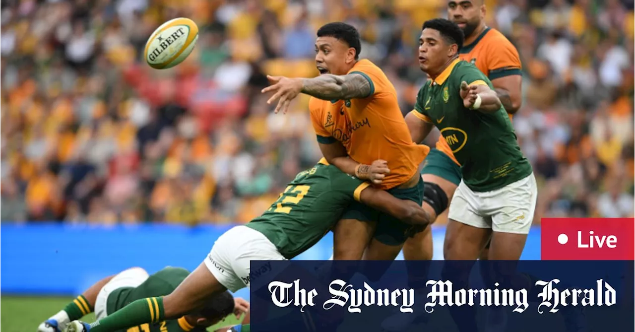 Rugby Championship 2024 LIVE: Wallabies face Springboks in Perth