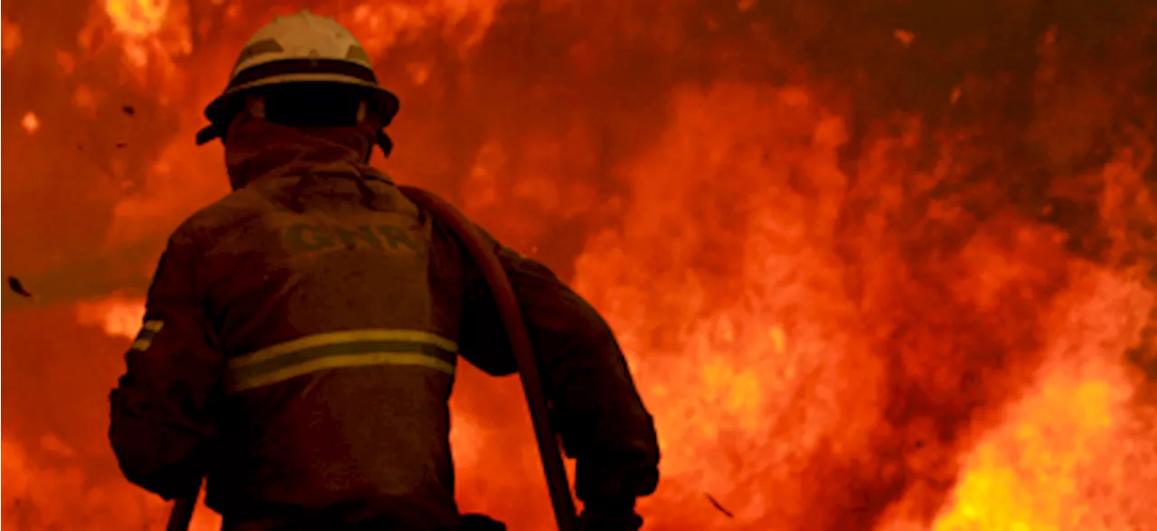 Madeira recebe bombeiros da Força Especial para ajudar no combate às chamas