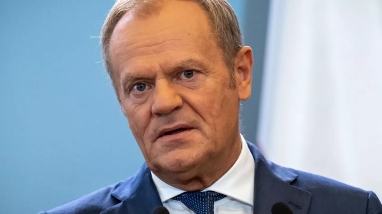 Ostsee-Pipelines: Tusk: Nord-Stream-Befürworter sollen schweigen