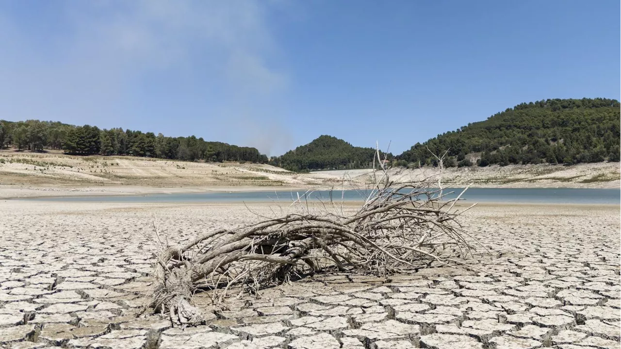 „Wir wollen Wasser“: Sizilien leidet unter der Sahara-Hitze