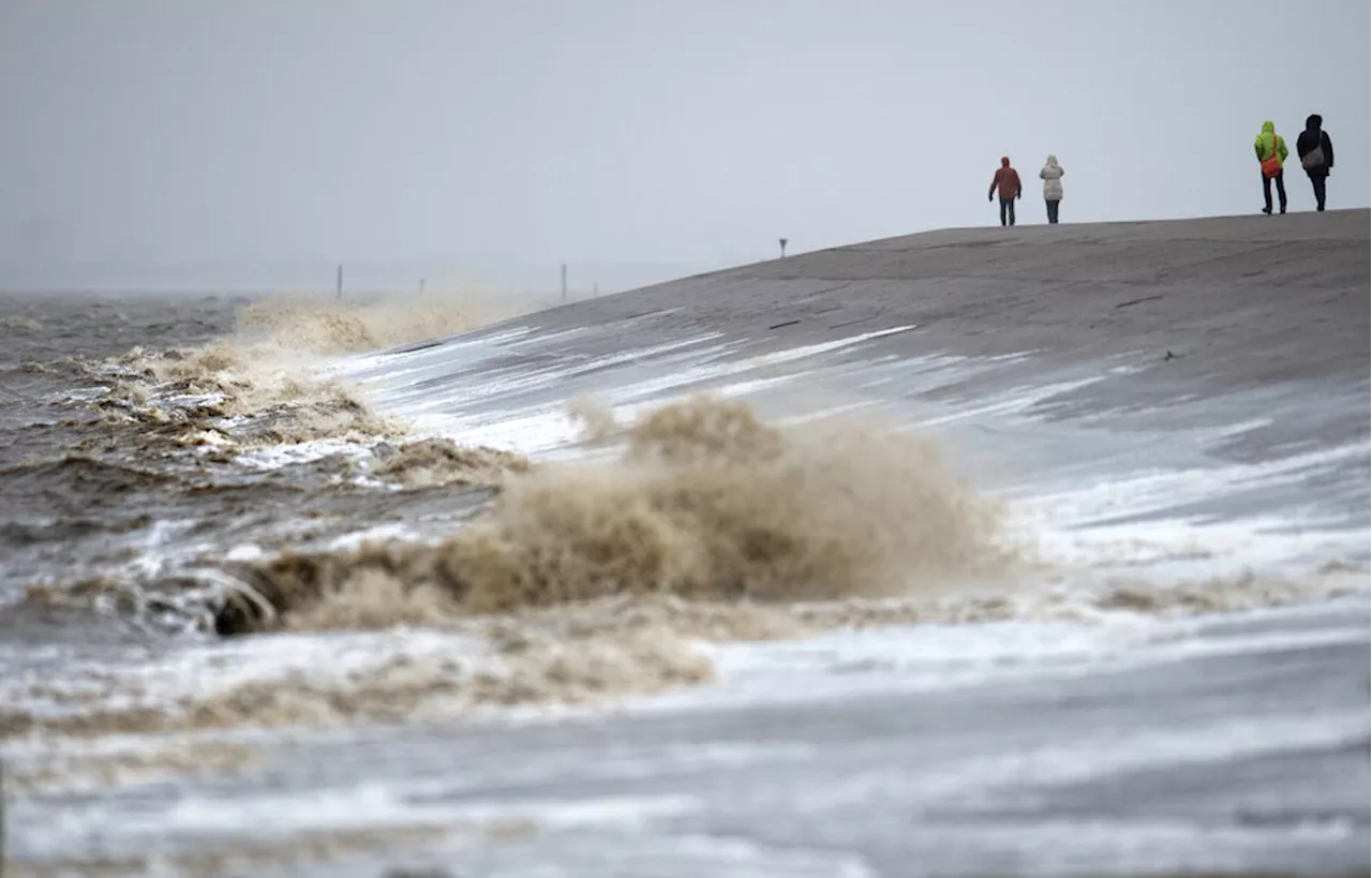 Forschung an Nord- und Ostsee: Gischt klärt den Blick