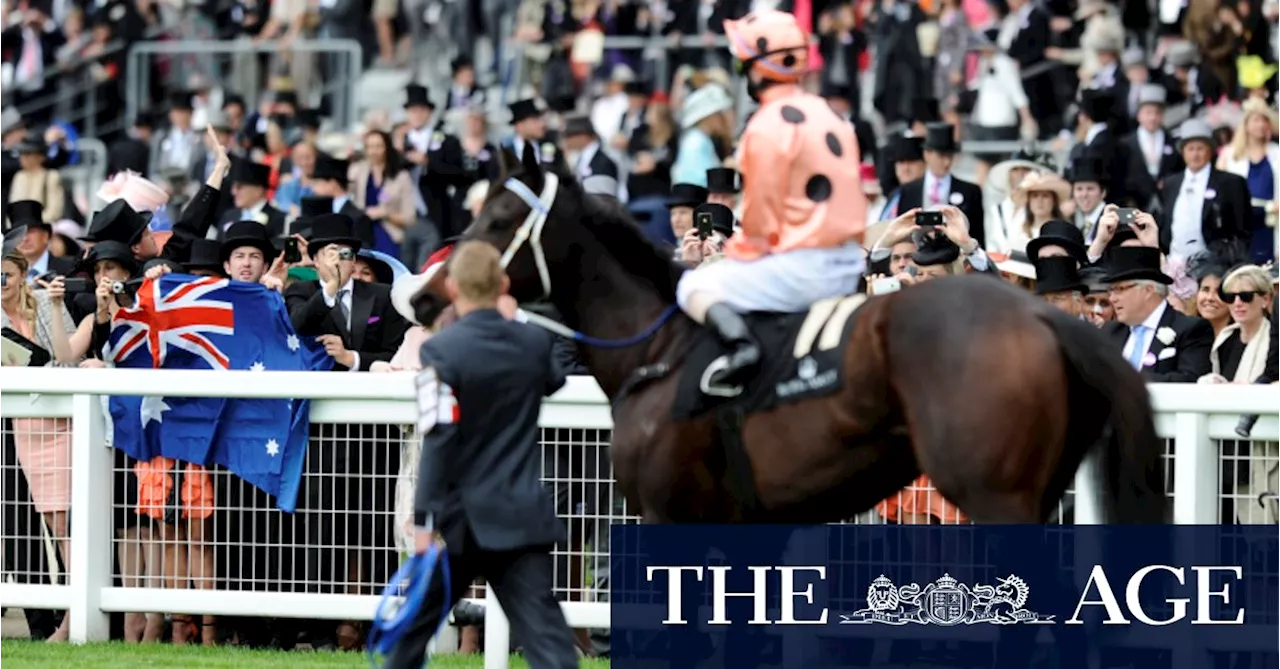 Champion racehorse Black Caviar, who captivated the nation, dies