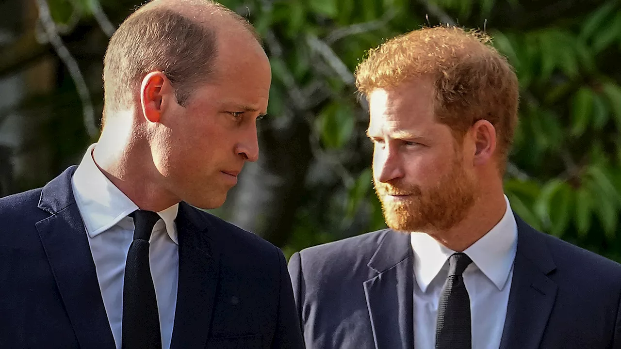 Prince William ‘does not want Harry at his coronation’ as brothers ‘haven’t spoken for two years’, friends...