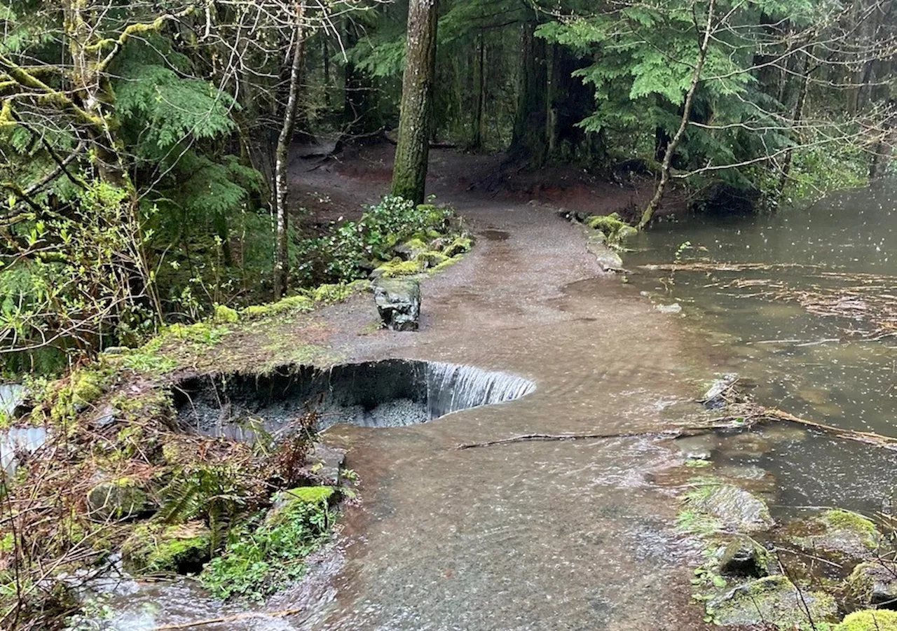 Bridge project near Campbell River improves access in forest area