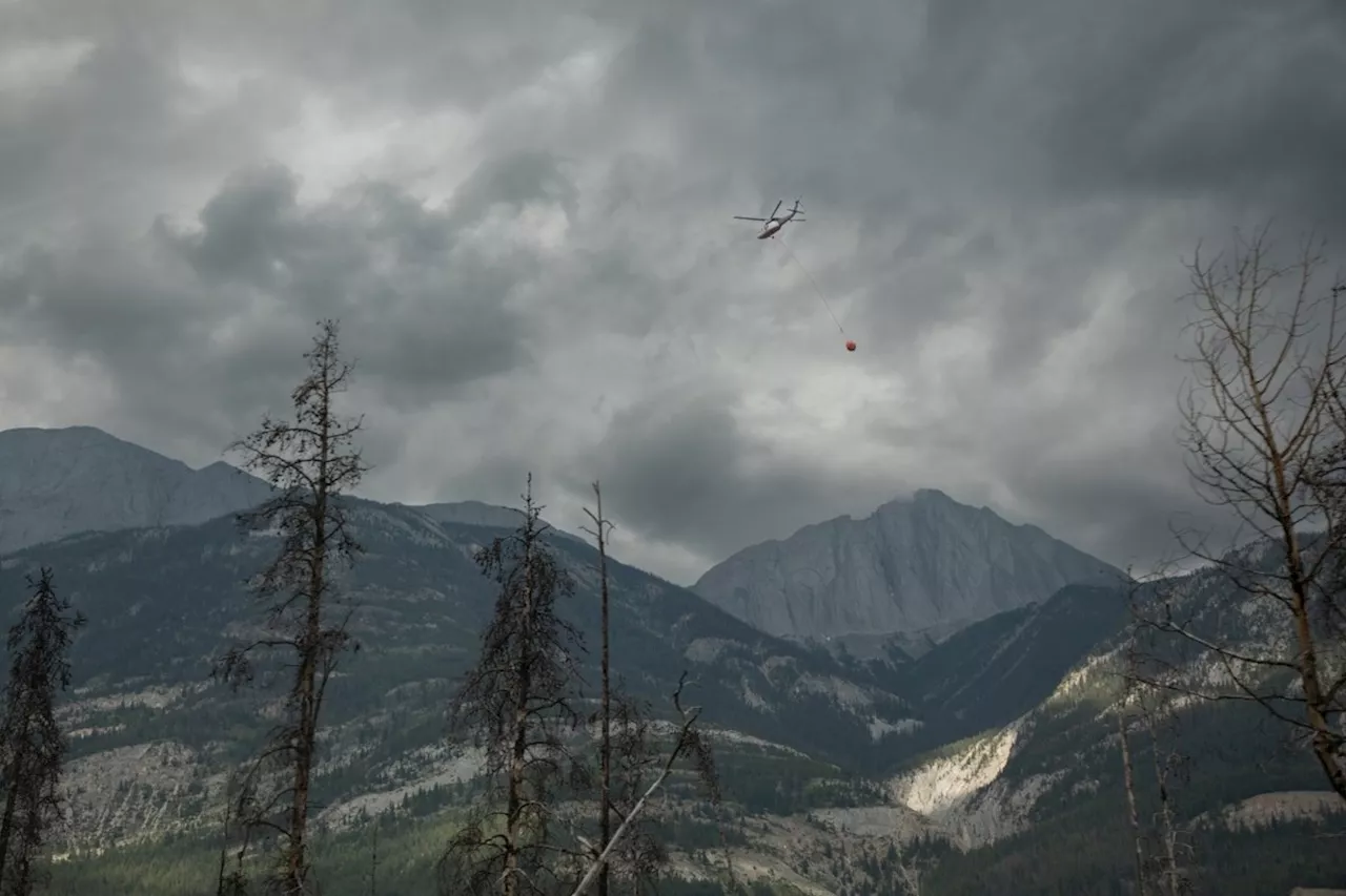 Jasper's burnt landscape could take more than a century to recover: wildfire expert