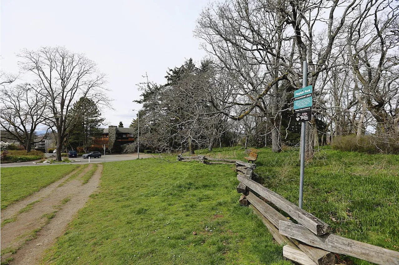 Saanich considers strategy to protect urban trees