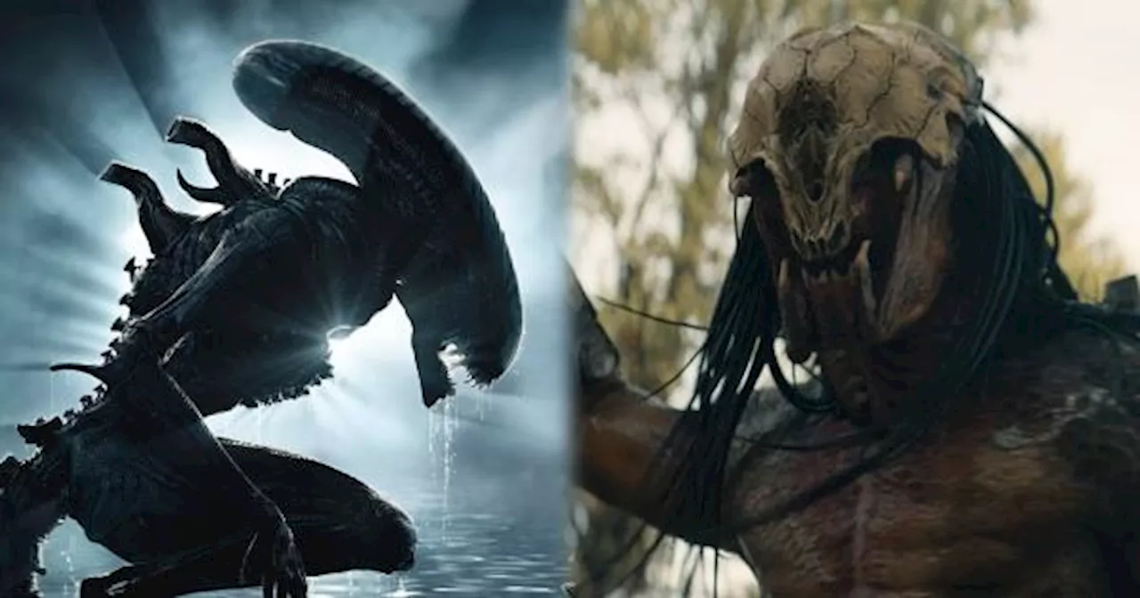 Director de ‘Alien: Romulus’ tiene una grandiosa idea para una nueva película de ‘Alien vs. Depredador’