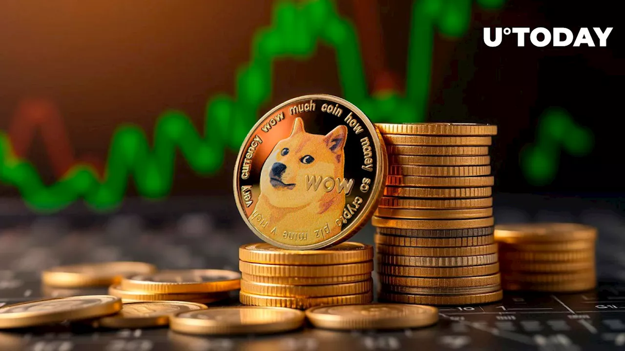 Dogecoin Skyrockets 32% in Active Users, Will DOGE Price Follow?