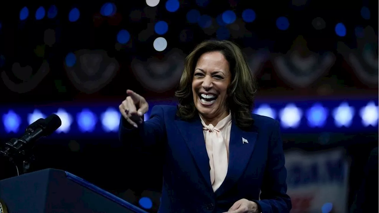 Harris growing support with Black voters in swing states of Michigan, Pennsylvania: poll