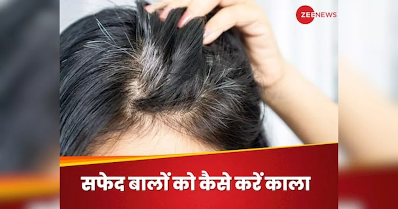 White Hair: 30 साल के हुए भी नहीं और सिर पर आ गए सफेद बाद, जानिए वापस कैसे पाएं काली जुल्फें